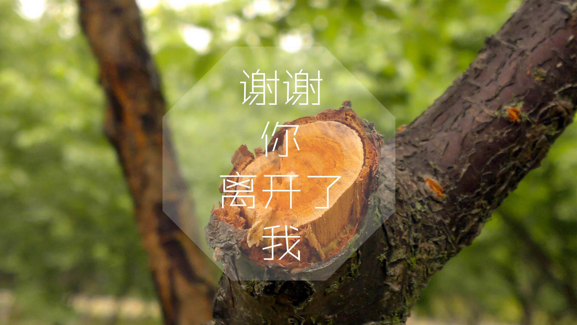 九游app官网下载-新兴力量崛起！意大利足球新秀点亮赛场，意大利足球队比赛