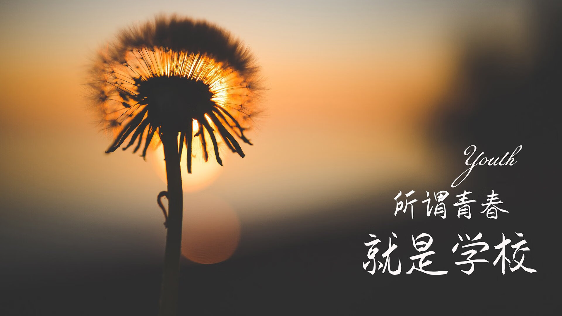 九游9游-布莱顿主场迎战谢菲联，球迷期待悬念揭晓，布莱顿对阵谢菲联