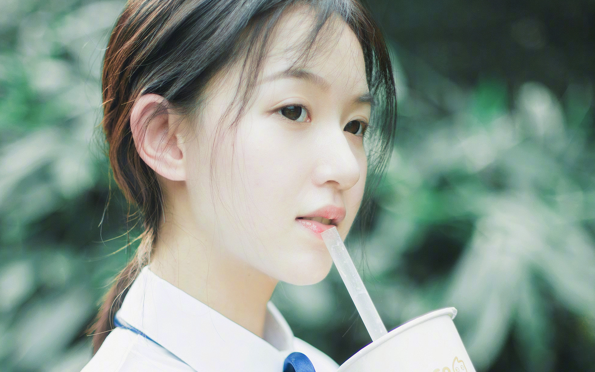 布莱顿主场迎战谢菲联，球迷期待悬念揭晓，布莱顿对阵谢菲联
