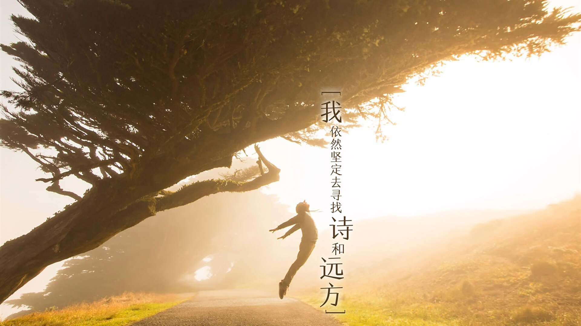 九游jiuyou-阿根廷3-1逆转巴西，晋级美洲杯四强，阿根廷3-1逆转巴西,晋级美洲杯四强