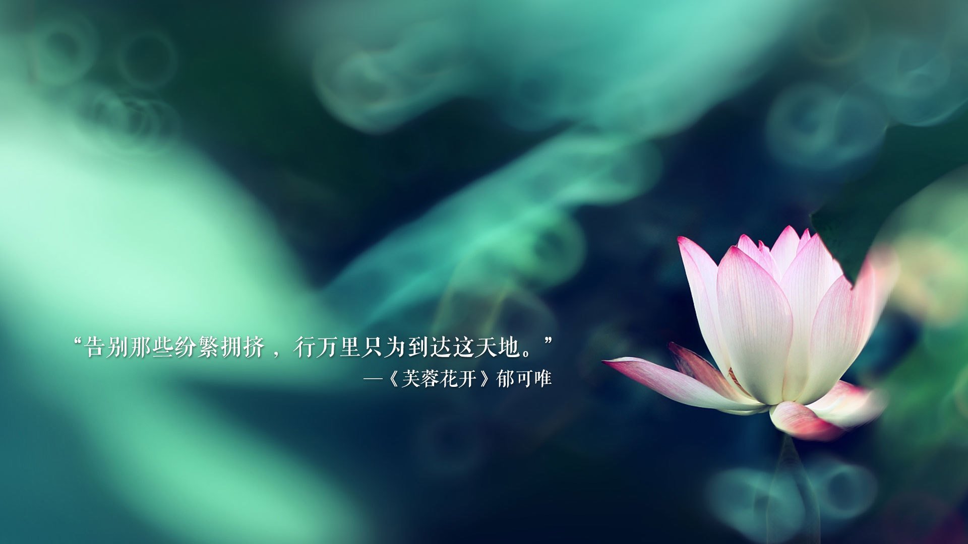 篮球专项技能训练规范体系建设与应用，篮球专项训练方法和手段