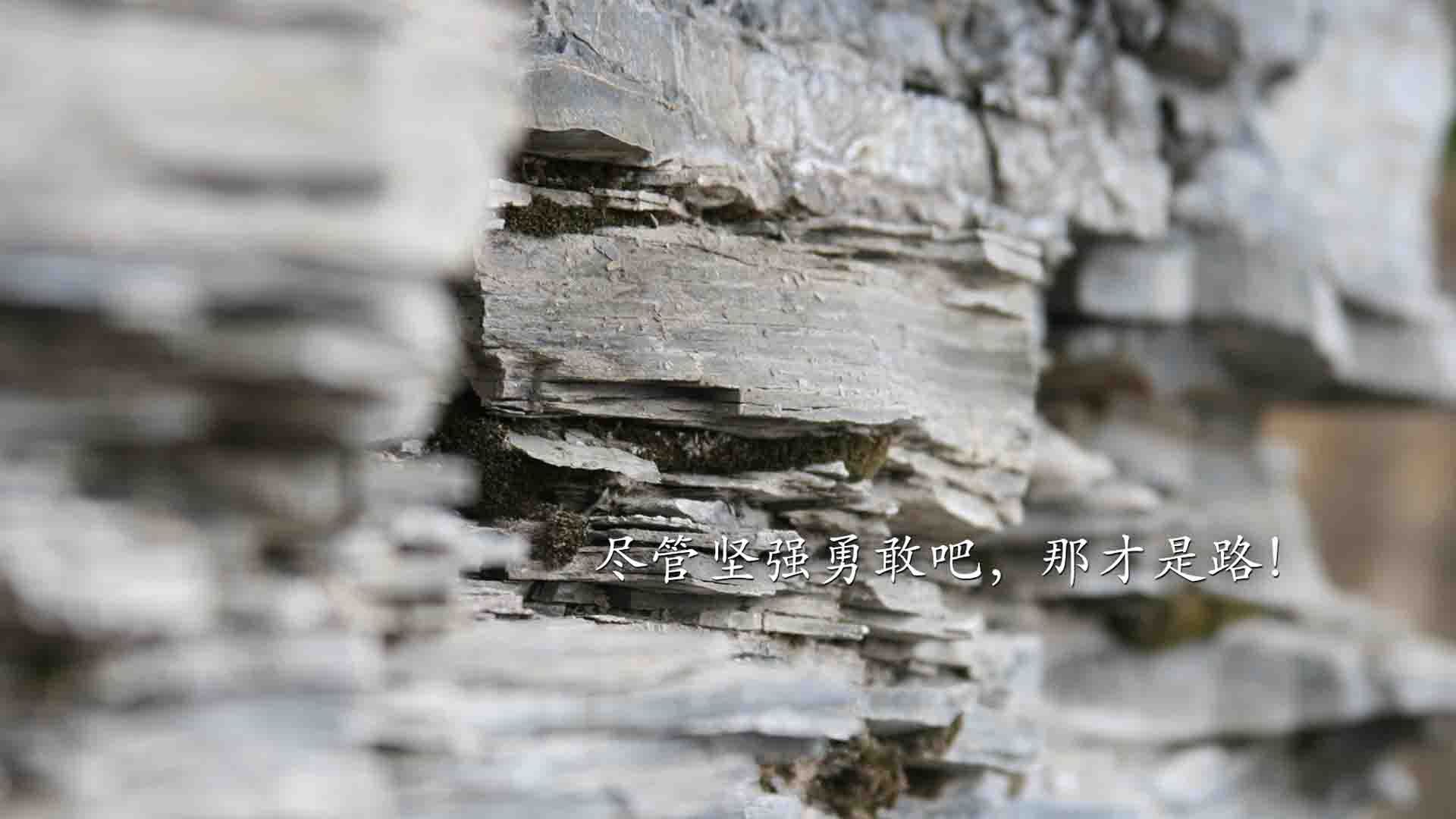 “短柄墙球：高新区全民健身馆赛场，赛出速度与智慧的新高度！”